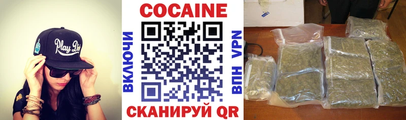 Купить закладки  Новоалтайск  Кокаин Эквадор 