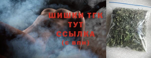 соль ск Белокуриха