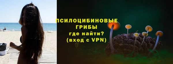 соль ск Белокуриха