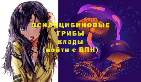 mdpv Беломорск