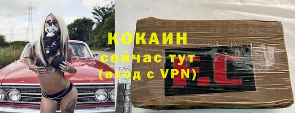 соль ск Белокуриха