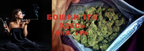 ПСИЛОЦИБИНОВЫЕ ГРИБЫ Белоозёрский