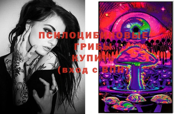 соль ск Белокуриха