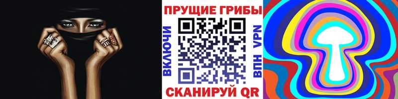 Галлюциногенные грибы Psilocybine cubensis  Купить  Новоалтайск 